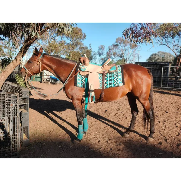 14", 15", 16" Double T Barrel Style Saddle with Filigree Print Seat.