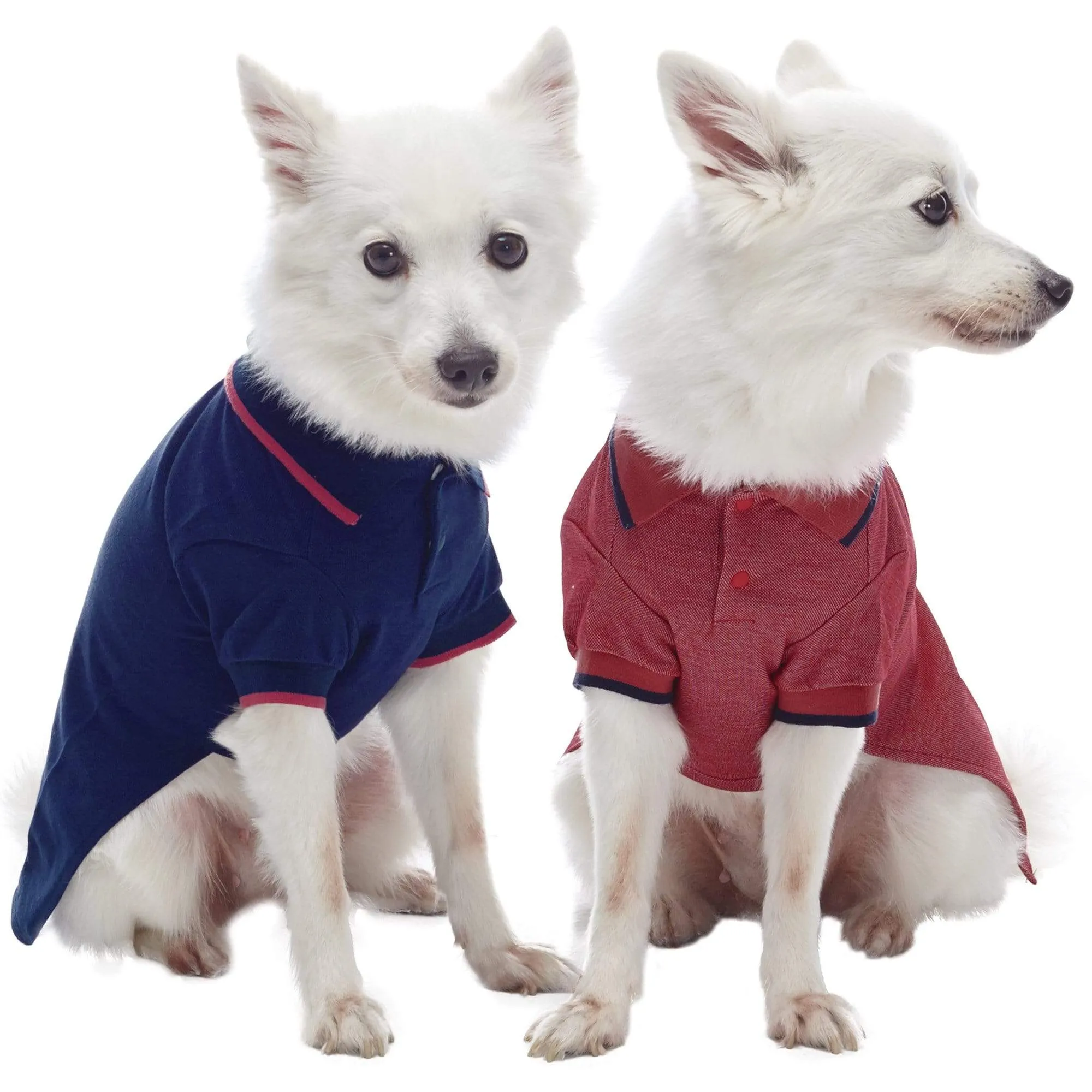 Cotton Blended Back to School Dog Polos, 2 Pack