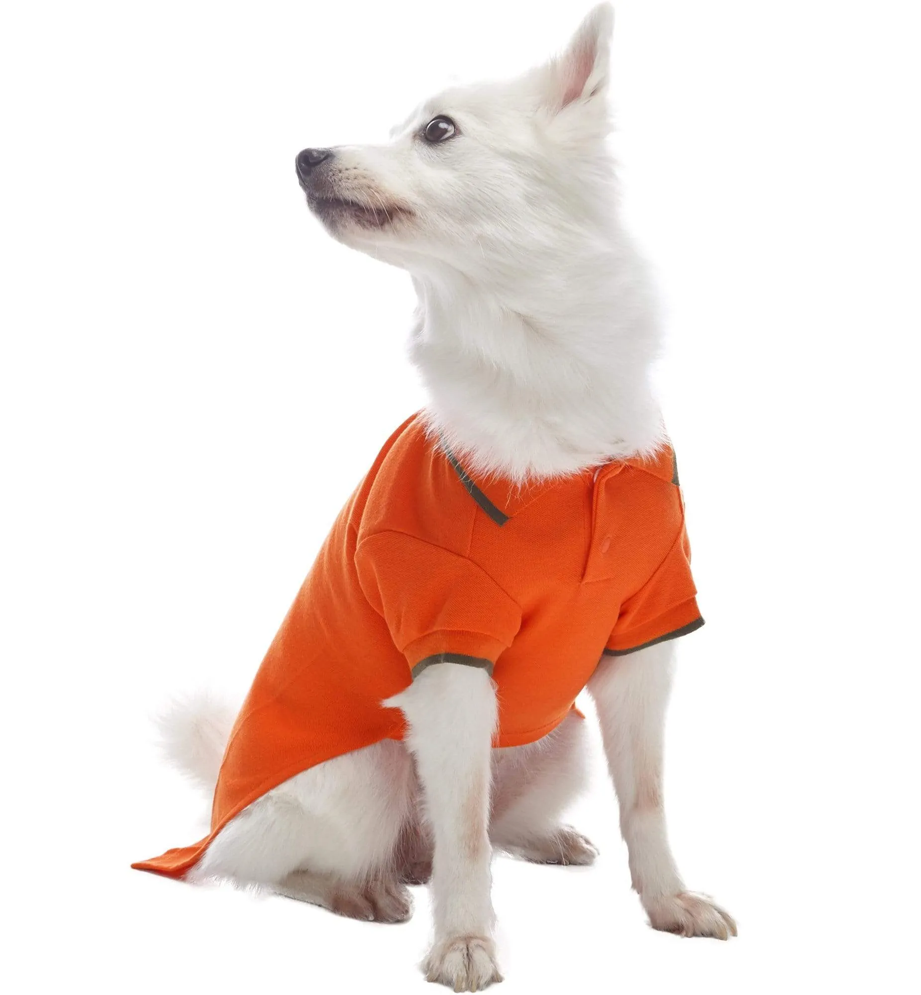 Cotton Blended Back to School Dog Polos, 2 Pack