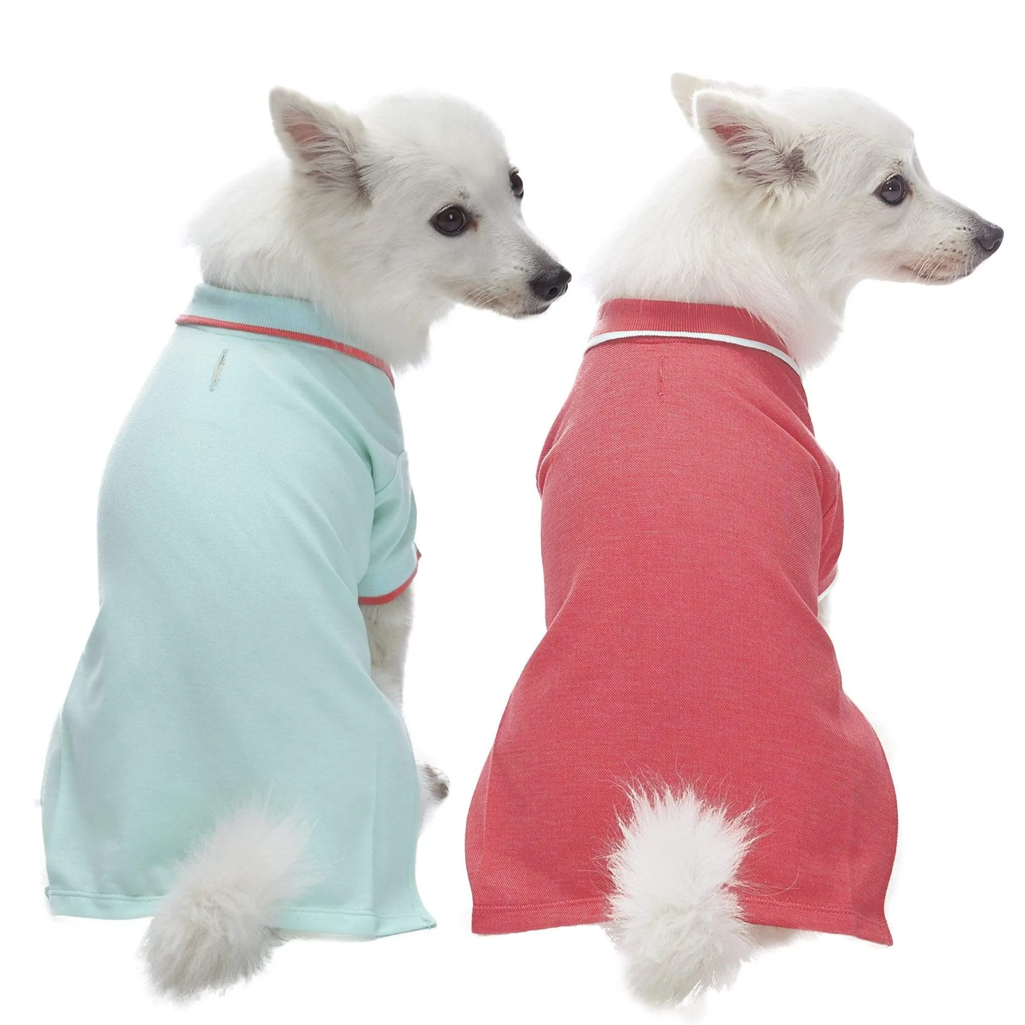 Cotton Blended Back to School Dog Polos, 2 Pack