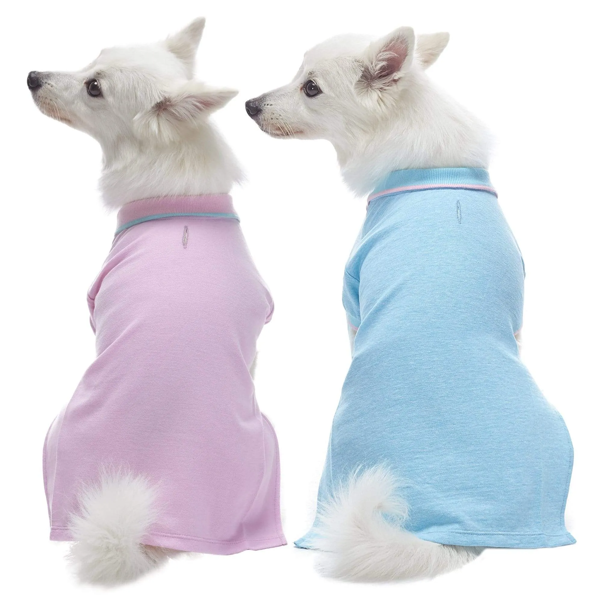 Cotton Blended Back to School Dog Polos, 2 Pack