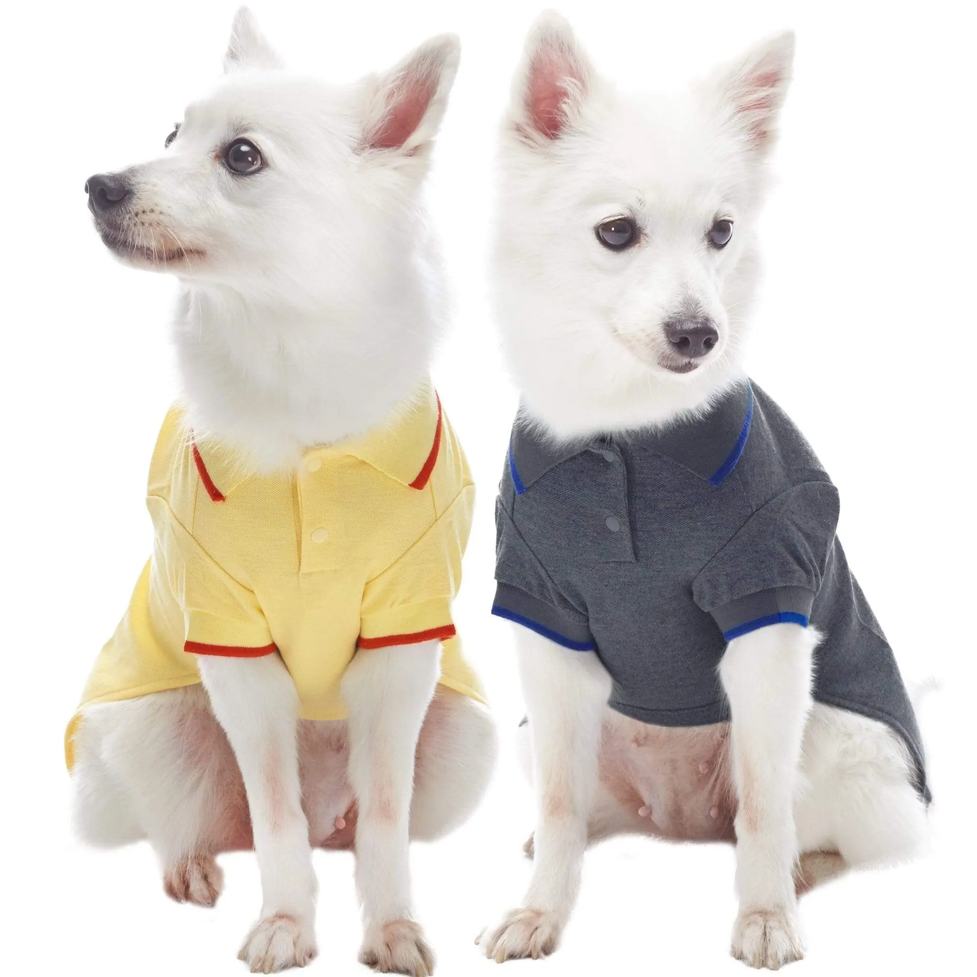 Cotton Blended Back to School Dog Polos, 2 Pack