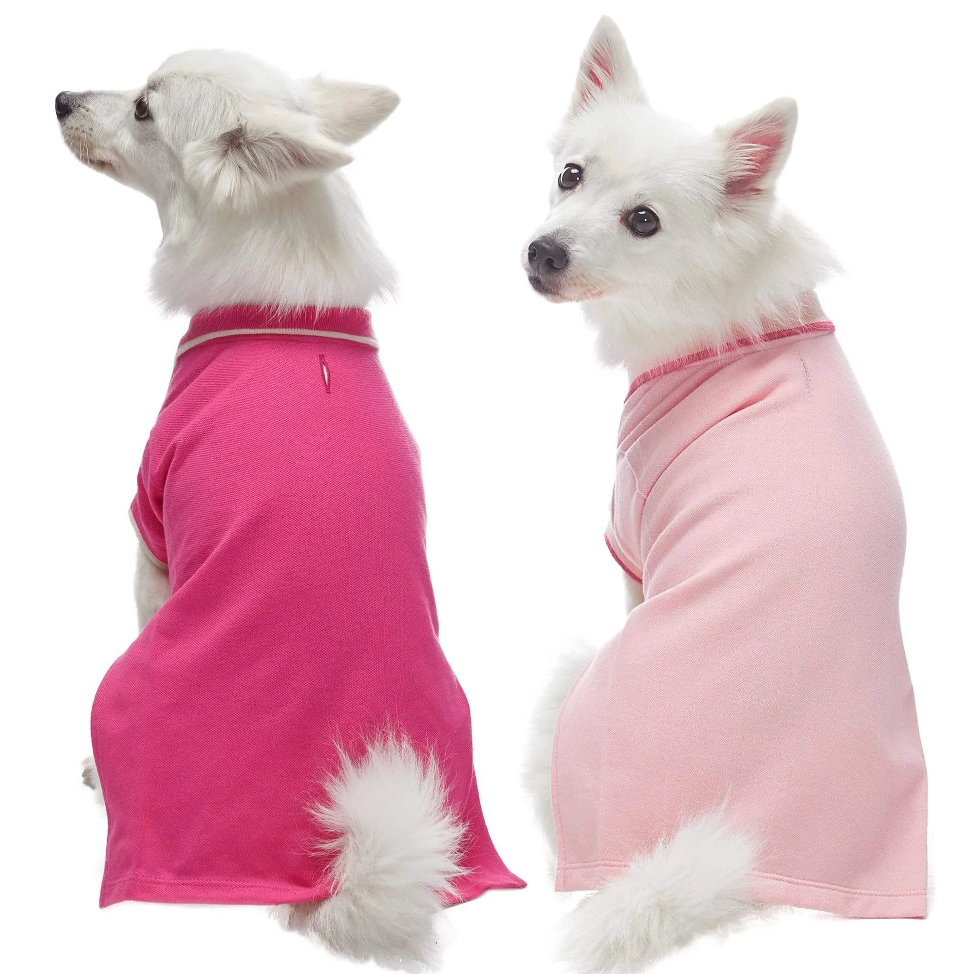 Cotton Blended Back to School Dog Polos, 2 Pack