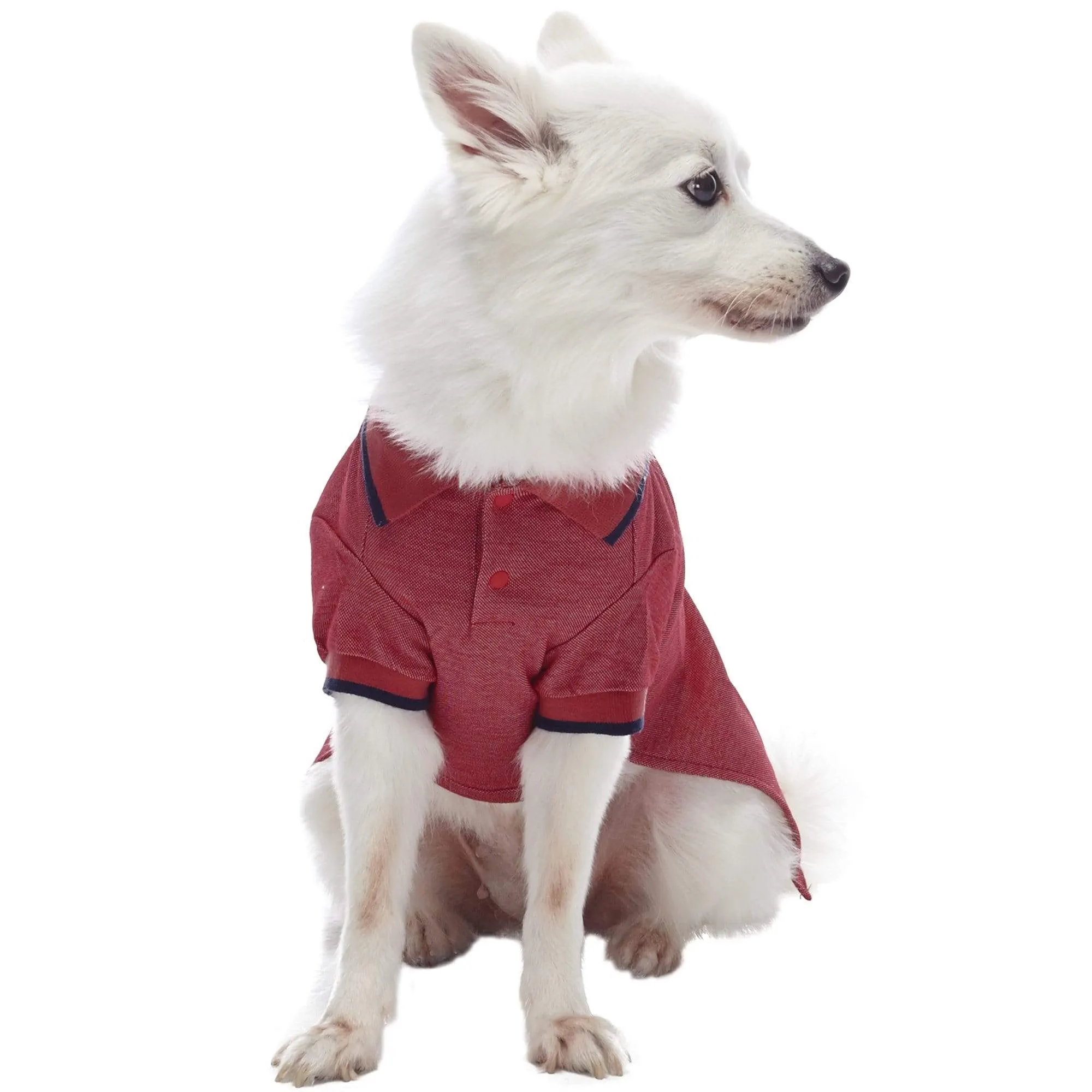 Cotton Blended Back to School Dog Polos, 2 Pack