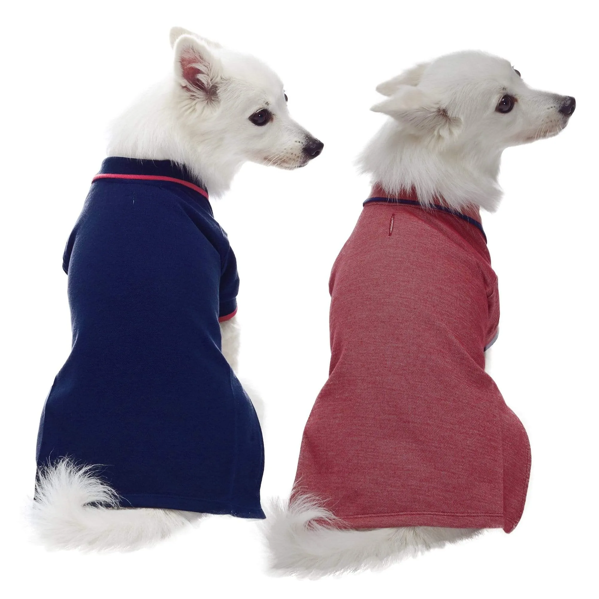 Cotton Blended Back to School Dog Polos, 2 Pack