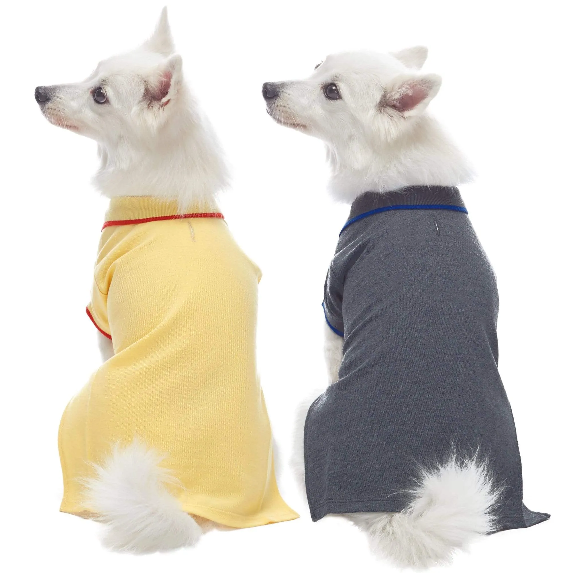 Cotton Blended Back to School Dog Polos, 2 Pack