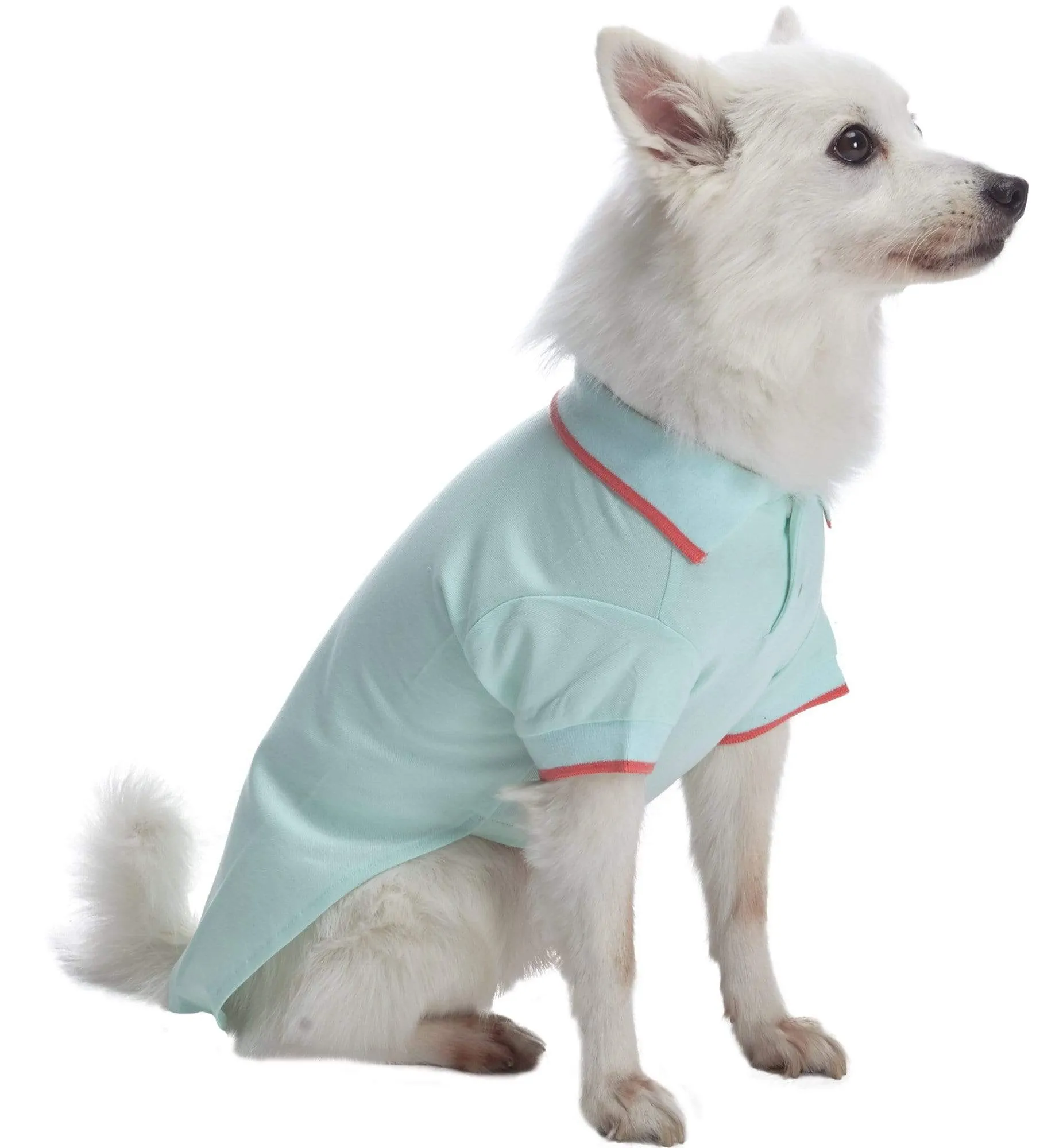 Cotton Blended Back to School Dog Polos, 2 Pack