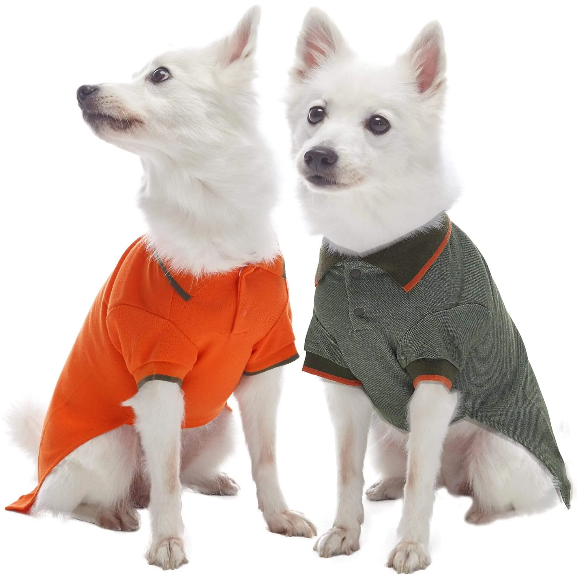 Cotton Blended Back to School Dog Polos, 2 Pack