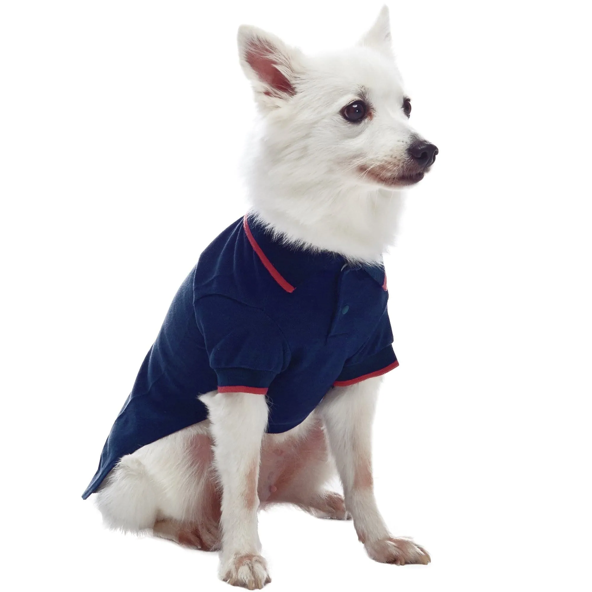 Cotton Blended Back to School Dog Polos, 2 Pack